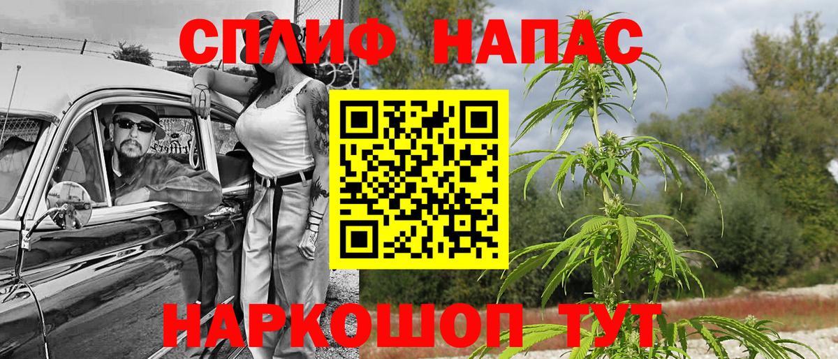Бошки Шишки план Киров